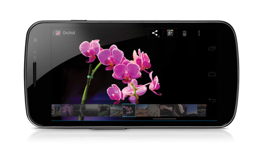 Samsung Galaxy Nexus