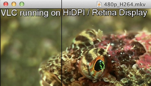 VLC Retina VLC Retina