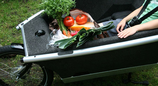 Urban Arrow Urban Arrow