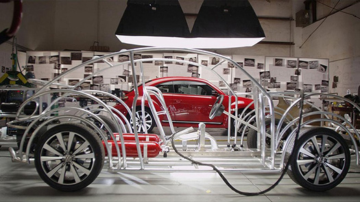 beetlesharkcage beetlesharkcage