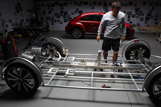 beetlesharkcage beetlesharkcage