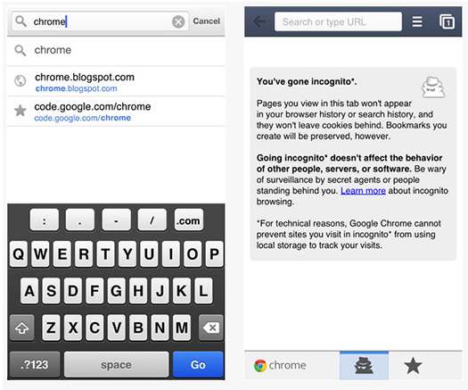 Google Chrome Google Chrome