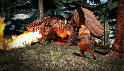 Dragon’s Dogma Dragon’s Dogma