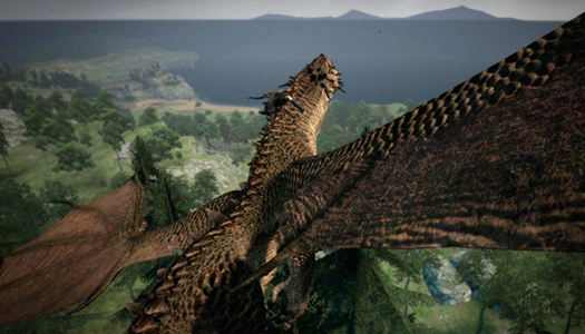 Dragon’s Dogma Dragon’s Dogma