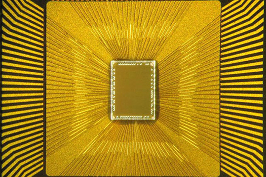 synapse-brain-chip-flickr-ibm