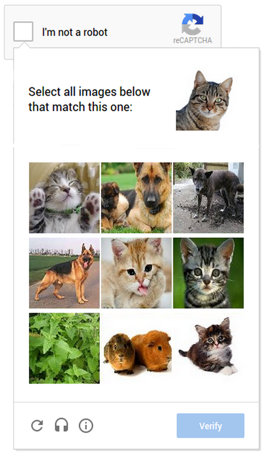 cat_captcha