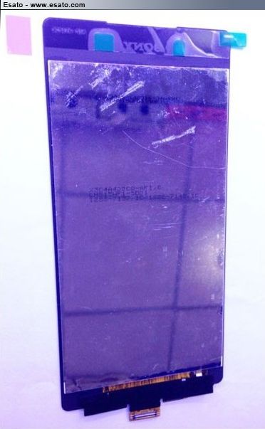 FRx227D3Ct8WuRDaRaIZ