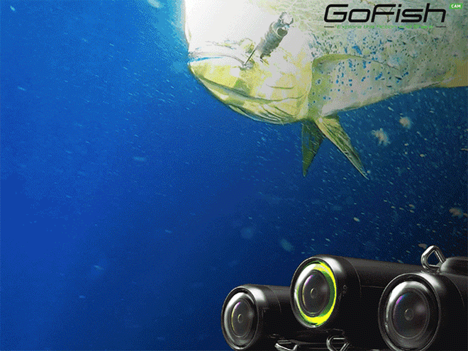 GoFish Cam
