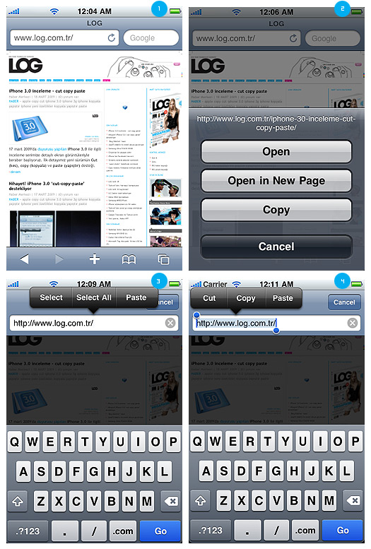 iPhone 3.0 Safari tarayıcı yetenekleri