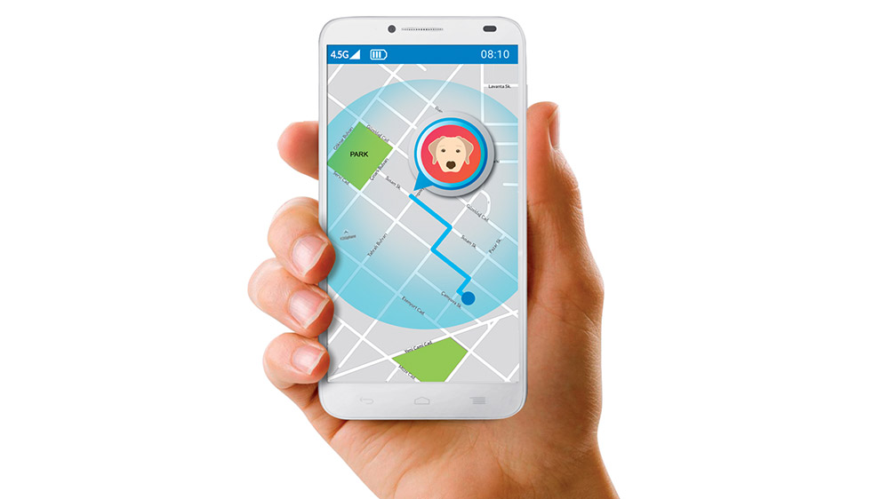 Alcatel’in Move Track