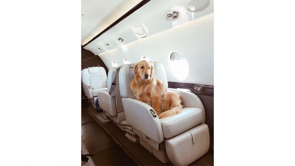 ınstagram için özel jet