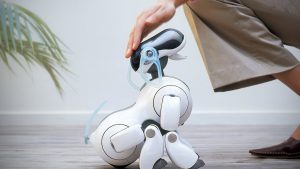 Sony akıllı robot köpek