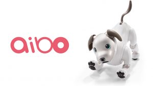 Sony Aibo robot köpek