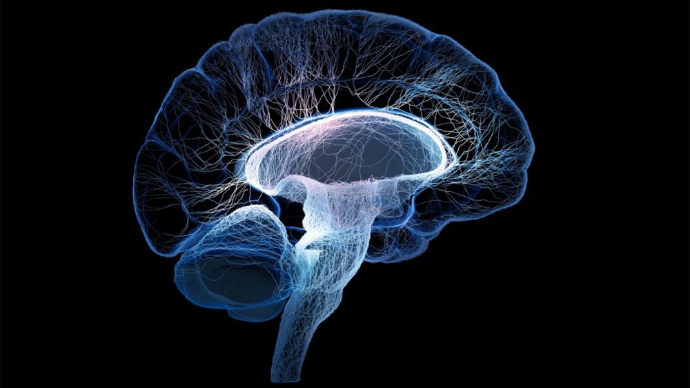 intihar yapay zeka algoritma