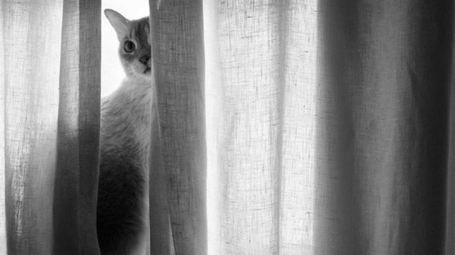 Fotoğraf Makinesi IQ3