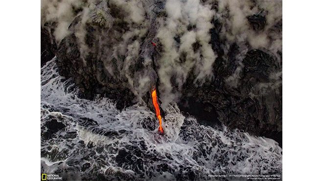 2017 National Geographic Doğa Fotoğrafçısı