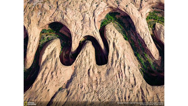 2017 National Geographic Doğa Fotoğrafçısı