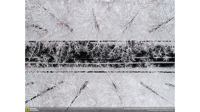 2017 National Geographic Doğa Fotoğrafçısı