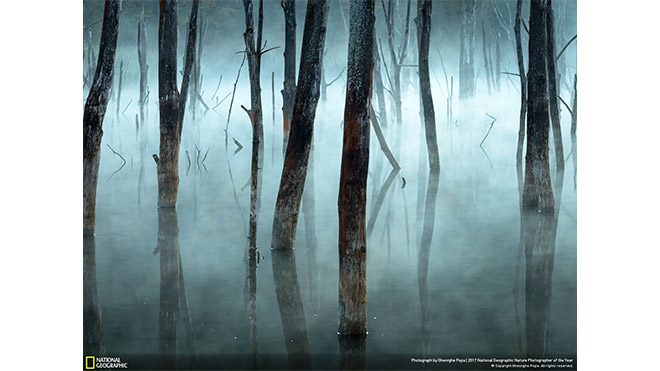 2017 National Geographic Doğa Fotoğrafçısı