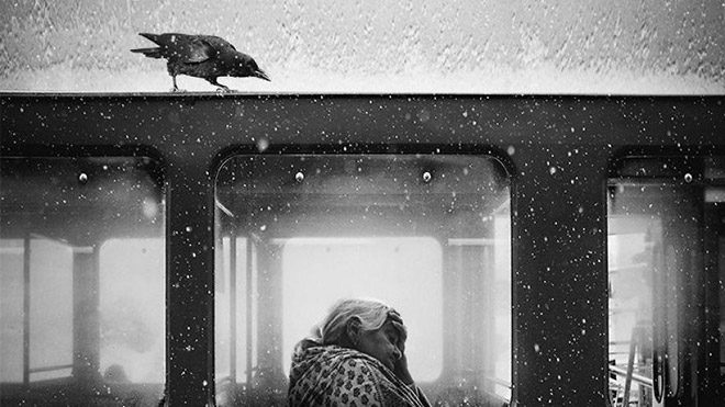 Jack Savage'ın "Crow Of Lviv" isimli fotoğrafı