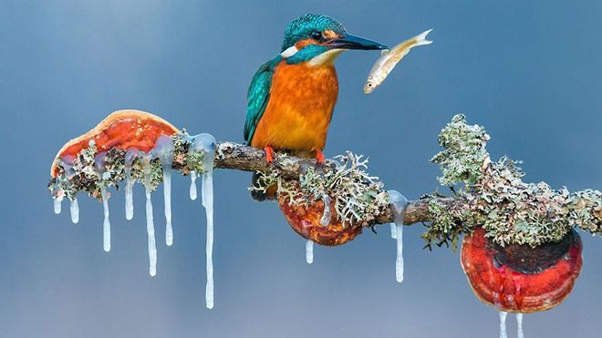 Petar Sabol'un Peak isimli çalışması