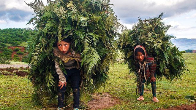 Chunshui Yu'nun "Heavy Load" isimli fotoğrafı