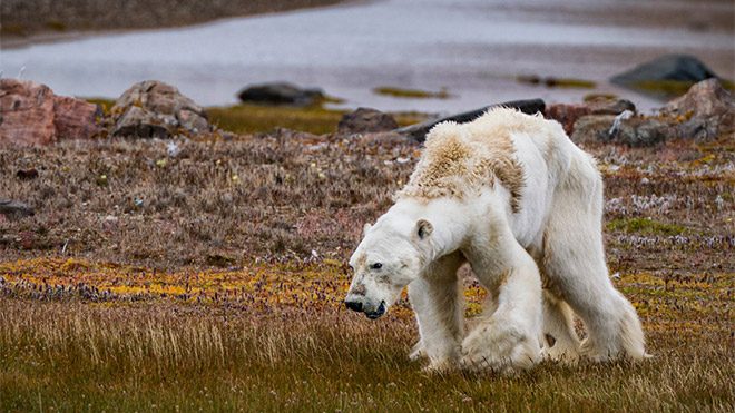 TIME 2017'nin en iyi fotoğrafları