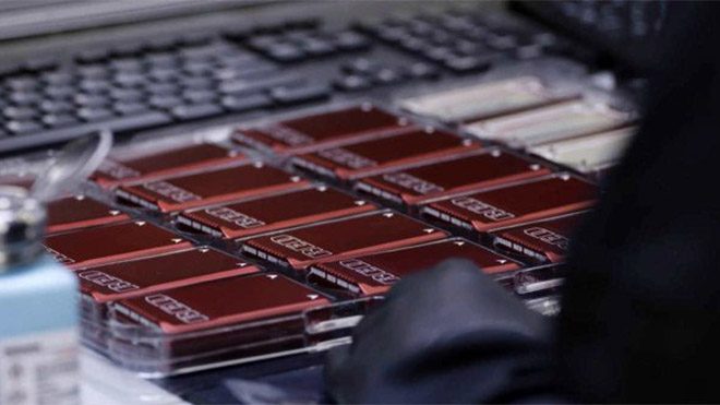 RED video kamera üretim