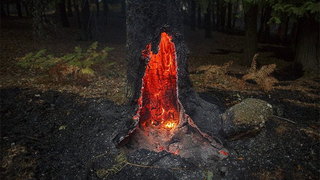 TIME 2017'nin en iyi fotoğrafları