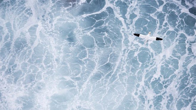 Michel d’Oultremont fotoğraf