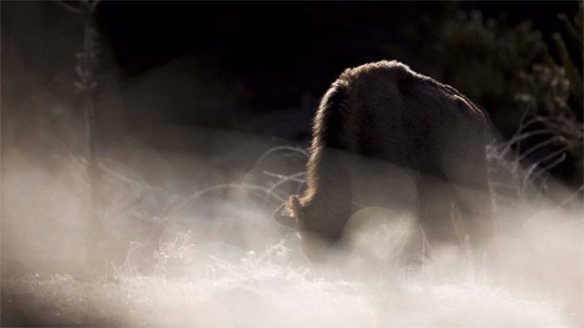 Michel d’Oultremont fotoğraf