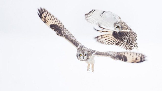 Michel d’Oultremont fotoğraf