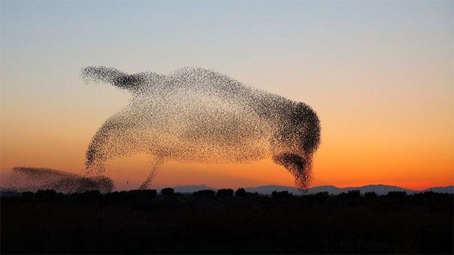Daniel Biber fotoğraf doğa