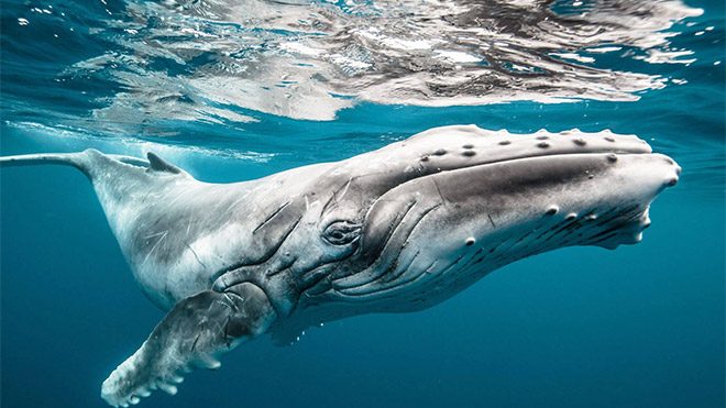 2018 Hasselblad Masters Awards