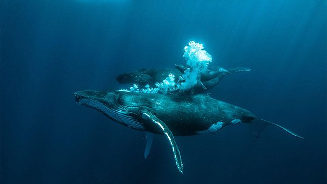 2018 Hasselblad Masters Awards