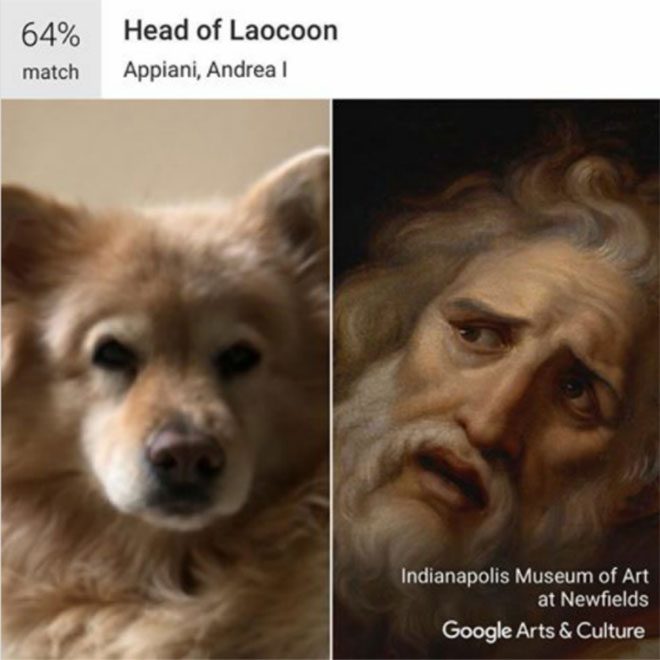 google arts and culture