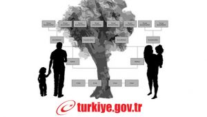 e-devlet soy ağacı sorgulama