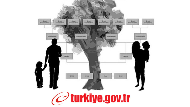 e-devlet soy ağacı sorgulama