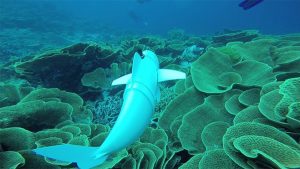 MIT robot balık SoFi