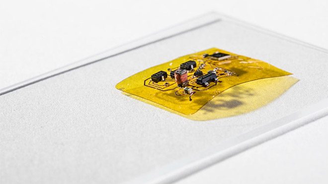 RoboFly RoboBee