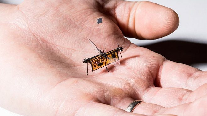 RoboFly RoboBee