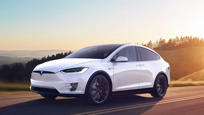 Elon Musk Model X