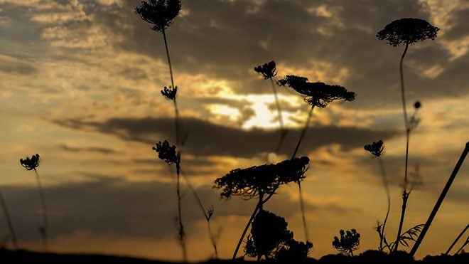 Muhsin Akgün tarafından çekildi