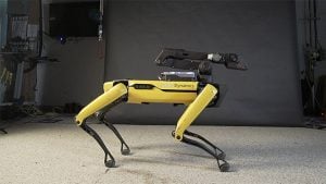 Boston Dynamics robot köpek Spot video