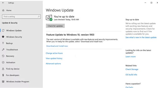 Microsoft Windows 10 güncelleme