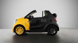 smart 21