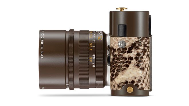 Lenny Kravitz Leica M Monochrom "Drifter"