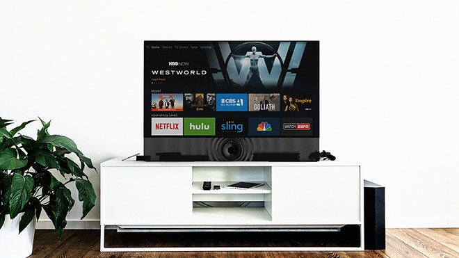 Sinan Anayurt televizyon WAVE TV