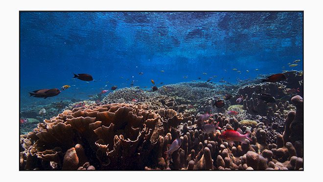 Apple tvOS 13 ve watchOS 6