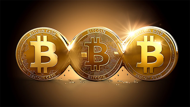Bitcoin kripto paralar